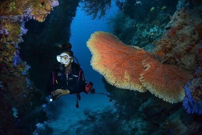 Diving and Snorkeling